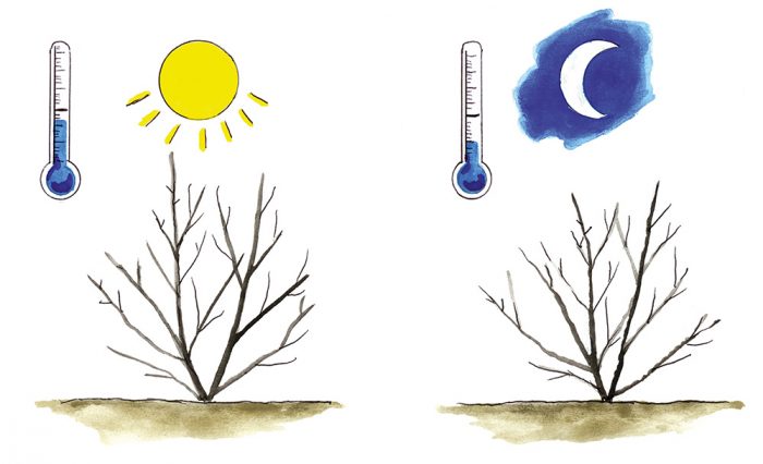 Mróz jest wtedy, gdy zarówno w dzień, jak i w nocy utrzymuje się temperatura poniżej 0˚ C