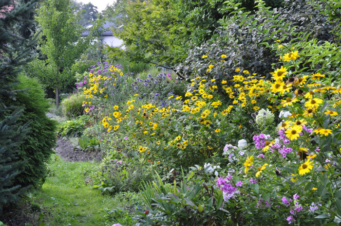 Ogród bylinowy, rabata bylinowa, kwiaty bylinowe latem