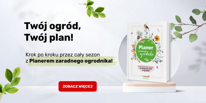 Planer zaradnego ogrodnika, planowanie pracy